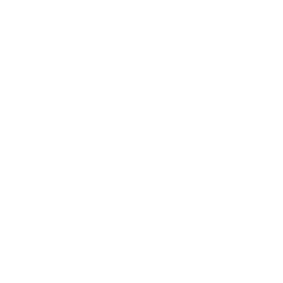 Icon representing SEO at Digital Combinators