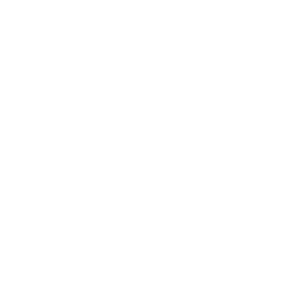 Icon representing Website Development at Digital Combinators